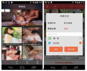 成人深夜www视频免费软件